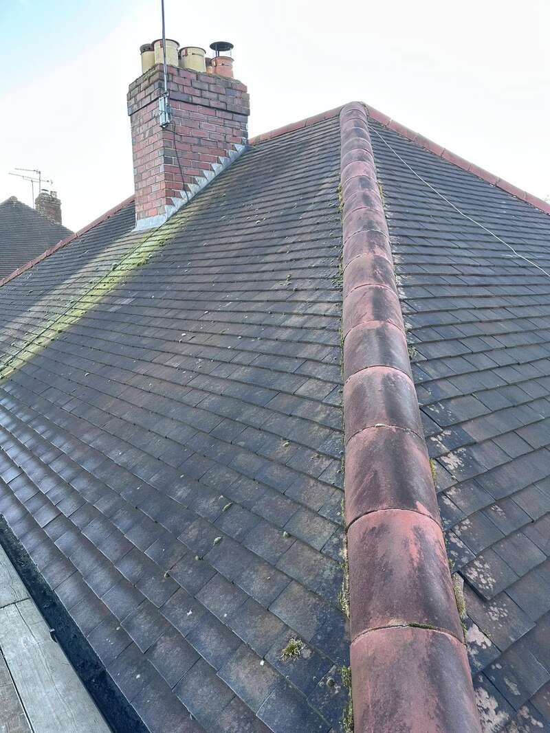 Roof before cleaning and moss removal